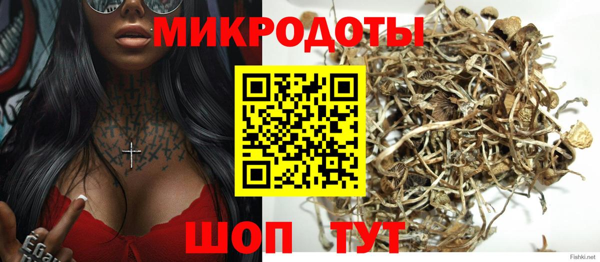 Шелехов  Галлюциногенные грибы Psilocybine cubensis  Вход с VPN  Галлюциногенные грибы Cubensis 